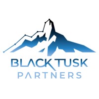 Black Tusk Partners Ltd. logo - Similar company to Catalyst In Communities
