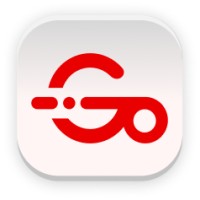 DataSetGo logo - Similar company to Fusionware
