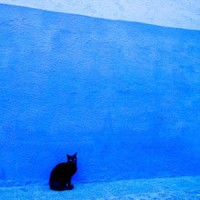 Photographer's Eye | Fine Art Prints by Jed Share logo - Similar company to Allwallprint