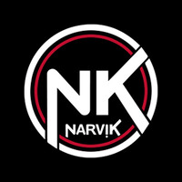 Narvik logo - Similar company to Point Project