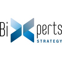 Bixpert Strategy logo - Similar company to Koppermill Business Analytics