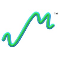 Vidyutm Mobility logo - Similar company to Mobilytics