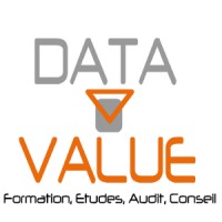 DATA VALUE logo - Similar company to Data Value Consulting