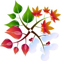 Decorate The Season