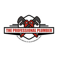 The Professional Plumber logo - Similar company to Grassroots Plumbing