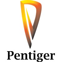 PENTIGER VIETNAM CO., LTD logo - Similar company to Vm Advisory