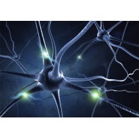 Deep Learning Partnership logo - Similar company to Deep-Learning