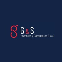 G&S Asesores y Consultores logo - Similar company to Datatraffic S.A.S.