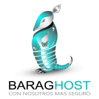BaragHost - Hosting | VPS | Servidores & Servicios IT logo - Similar company to Planisys - Cybersecurity