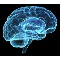 Marketer's Brain AI logo - Similar company to Ascentive Digital
