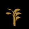 مهرجان أفلام السعودية Saudi Film Festival