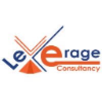 Leverage Consultancy Plc