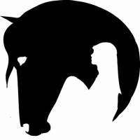 Equine Affinity logo - Similar company to Learning To Listen