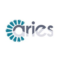 Aries Austin Consulting, Llc