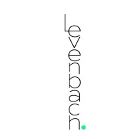 Levenbach logo - Similar company to Rubicon Impact & Litigation