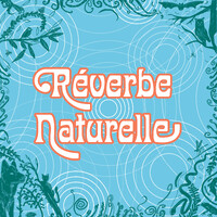 Réverbe naturelle logo - Similar company to Demain C'Est Maintenant - La Conf