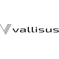 vallisus logo - Similar company to Owl Security