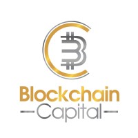 Blockchain Capital South Africa logo - Similar company to The Blockchain Project