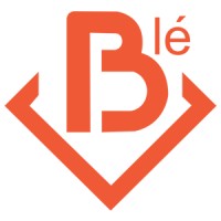 Ble Media Solutions logo - Similar company to Mcubes Cloud