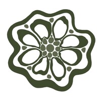 Okra Origins logo - Similar company to Temple University Blackstone Launchpad