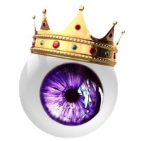 Wild Side SEO logo - Similar company to Sos Interactive Marketing - Seo