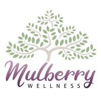 Mulberry Wellness logo - Similar company to Techfusionfm