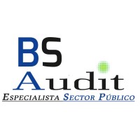 BS AUDIT (Especialista Sector Público) logo - Similar company to Spillcontrol