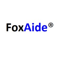 FoxAide® IT Services LLP logo - Similar company to Infogit