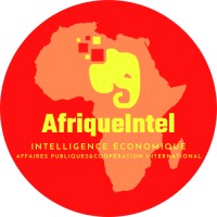 AfriqueIntel logo - Similar company to Vauban Finance