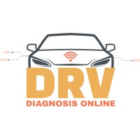 DRV Diagnosis Online logo - Similar company to Drv