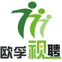 博尔捷人力资源集团 logo - Similar company to Jingdigital