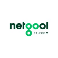 Netgool logo - Similar company to Weekend Treasure - Luxury Transportation