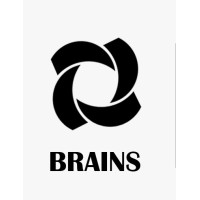 PT. BERKAH ANUGERAH INTI SEMESTA (BRAINS) logo - Similar company to Pt Mitra Hutama Engineering