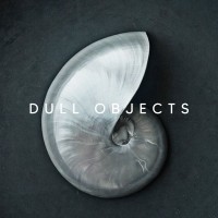 Dull Objects Consulting logo - Similar company to Launch + Co