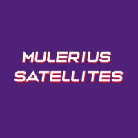 Mulerius Satellites logo - Similar company to Foro Cpi
