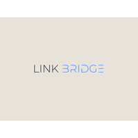 Link Bridge logo - Similar company to Link Bridge