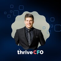 ThriveCFO-Stilbaai logo - Similar company to Thrivecfo