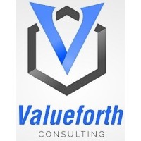 VALUEFORTH CONSULTING logo - Similar company to Droidedge Consulting