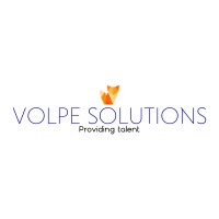 Volpe Solutions logo - Similar company to Volpea Solutions