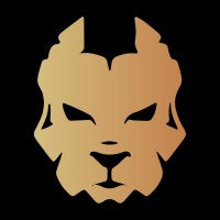 The Underdogs Of Madras logo - Similar company to Pingus