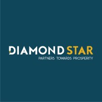 Diamond Star Financial Services logo - Similar company to Yoma Financial Services