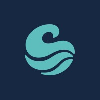 Wave logo - Similar company to Wave