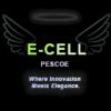 Ecell Pescoe logo - Similar company to Code Social