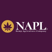 Niche Agriculture and Pharmaceuticals Limited logo - Similar company to Buzzmeeh.Com