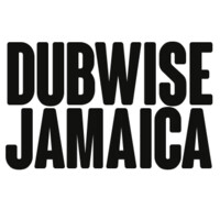 DUBWISE JAMAICA logo - Similar company to P4 Hub