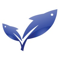 Nova Vision, Llc