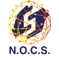 Networked Organization For Change Synergy