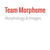 INRIA MORPHEME logo - Similar company to Postlab