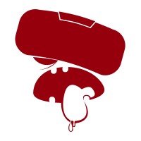 Kandooz Studio logo - Similar company to Appsinnovate