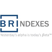 BRI Partners LLC logo - Similar company to Kf Ventures